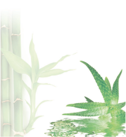 植物